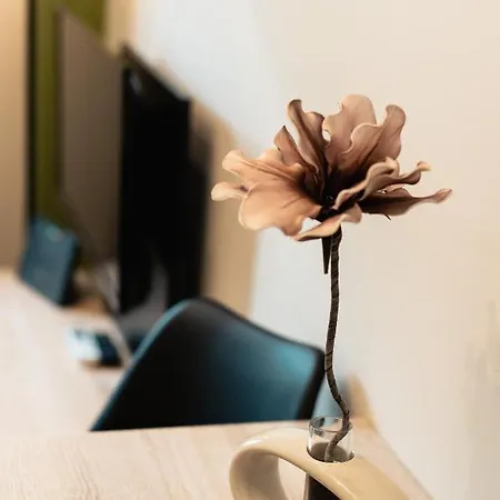Dantis Place In Vol.2 Nafplio